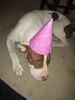 IMG_1852.JPG